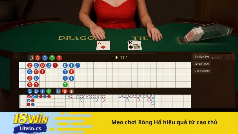 Mẹo chơi Rồng Hổ hiệu quả từ cao thủ