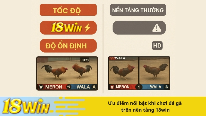 Ưu điểm nổi bật khi chơi đá gà trên nền tảng 18win